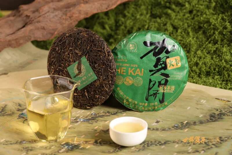 六大茶山在野 贺开·火卡：隐逸腹地巨木守护的秘境