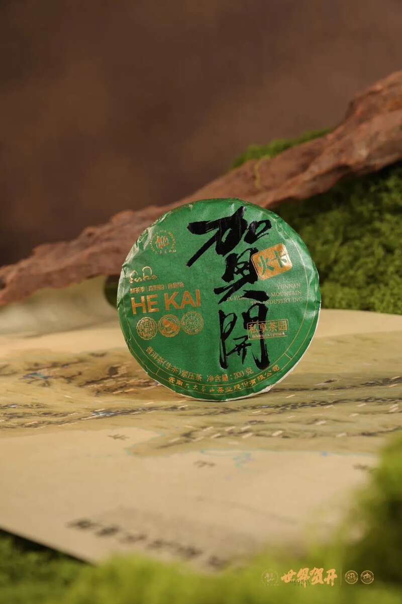 六大茶山在野 贺开·火卡：隐逸腹地巨木守护的秘境