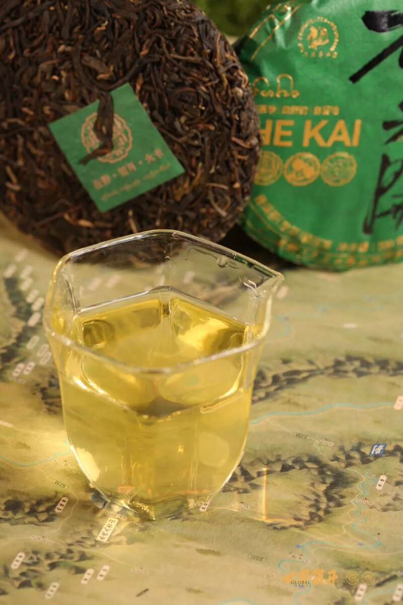 六大茶山在野 贺开·火卡：隐逸腹地巨木守护的秘境