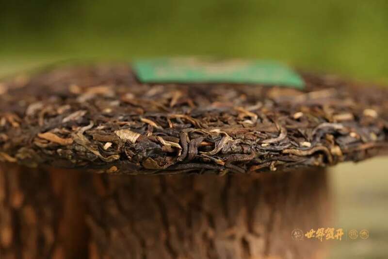 六大茶山在野 贺开·火卡：隐逸腹地巨木守护的秘境