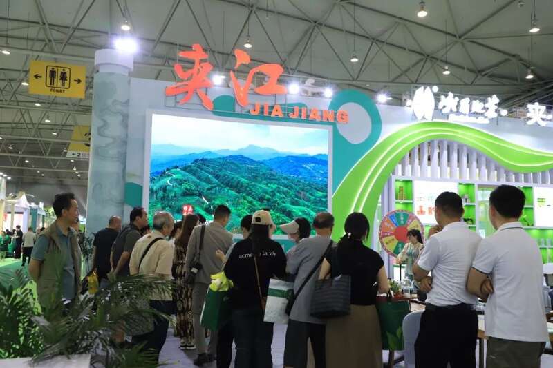 夹江茶在四川茶博会光速“圈粉”！各地茶友惊呼一口爱上