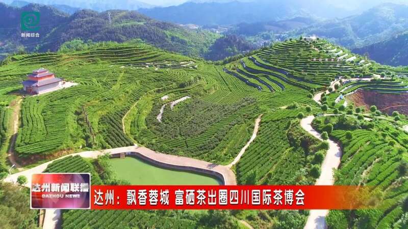 在四川国际茶博会揽金夺牌，达州“巴山青” 富硒茶完胜