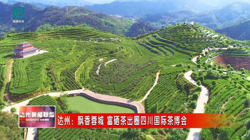 在四川国际茶博会揽金夺牌，达州“巴山青” 富硒茶完胜！