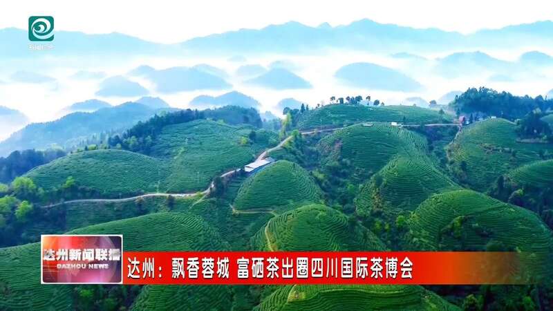在四川国际茶博会揽金夺牌，达州“巴山青” 富硒茶完胜！