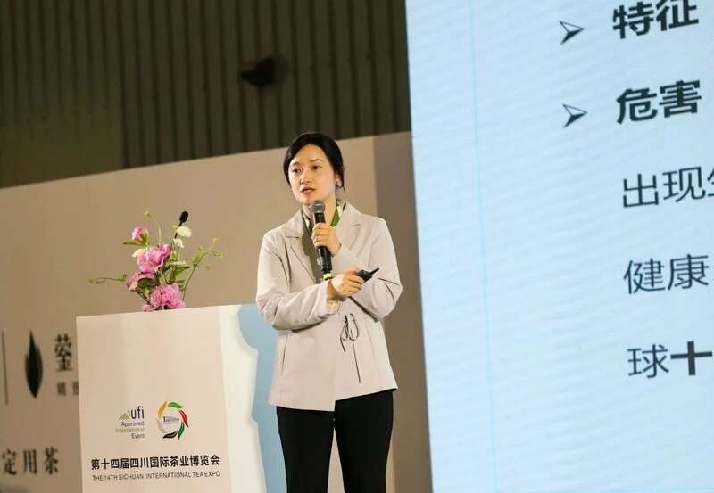 茶文化教育公益项目发布会暨“守护会呼吸的遗产”古树茶文化圆桌会议成功举行