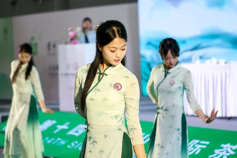 茶文化教育公益项目发布会暨“守护会呼吸的遗产”古树茶文化圆桌会议成功举行