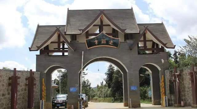 班章大白菜普洱茶的传奇故事与价值解析