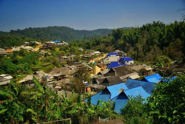 班章大白菜普洱茶的传奇故事与价值解析