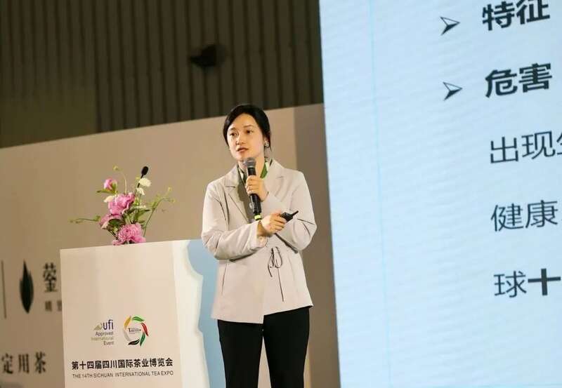 茶文化教育公益项目发布会暨“守护会呼吸的遗产”古树茶文化圆桌会议成功举行