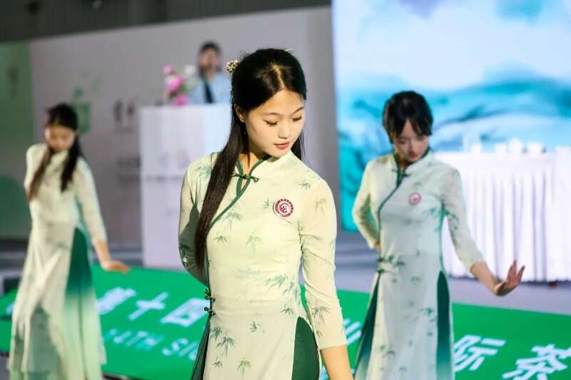 茶文化教育公益项目发布会暨“守护会呼吸的遗产”古树茶文化圆桌会议成功举行