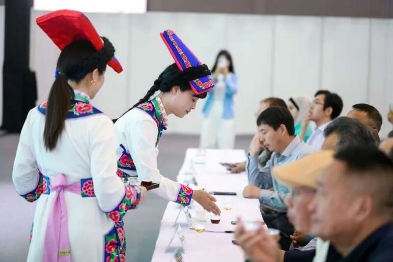 茶文化教育公益项目发布会暨“守护会呼吸的遗产”古树茶文化圆桌会议成功举行