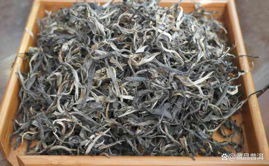 普洱茶紧压茶vs散茶哪个更好？制作工艺与选购指南