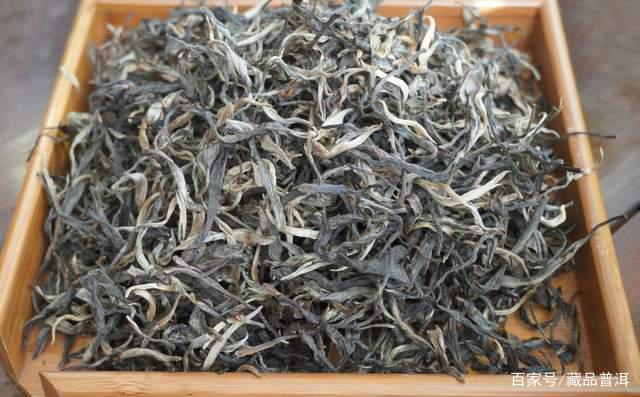 普洱茶紧压茶vs散茶哪个更好？制作工艺与选购指南