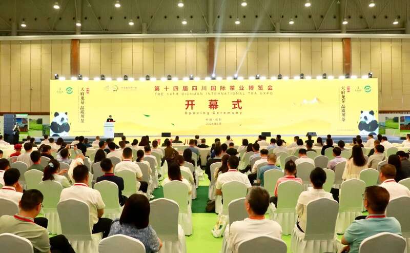 品荣县茉莉花茶饮料！荣县茶陶惊艳亮相四川茶博会！