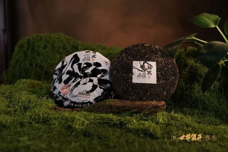 六大茶山极野系列：献给一同征服荒野的英雄!