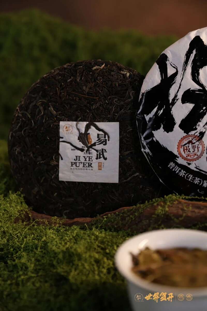 六大茶山极野系列：献给一同征服荒野的英雄!