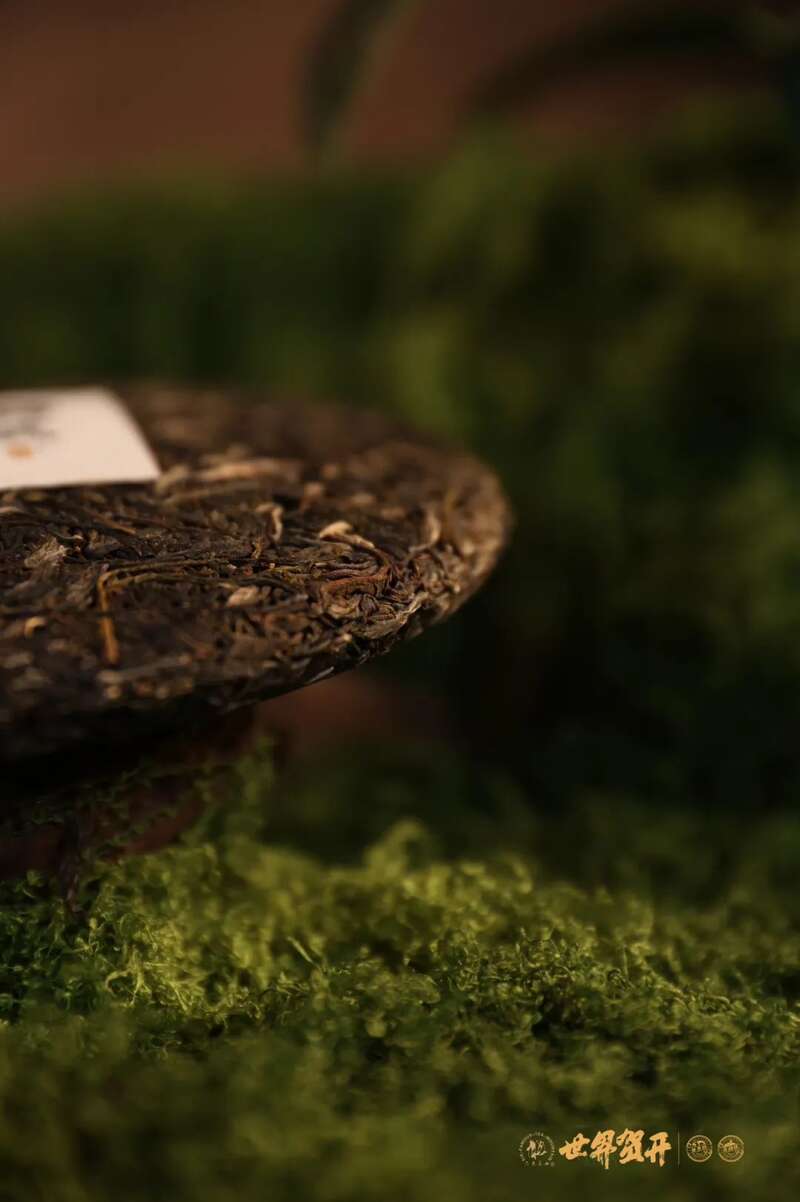 六大茶山极野系列：献给一同征服荒野的英雄!