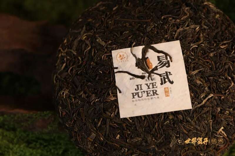 六大茶山极野系列：献给一同征服荒野的英雄!