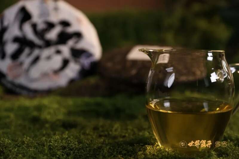 六大茶山极野系列：献给一同征服荒野的英雄!