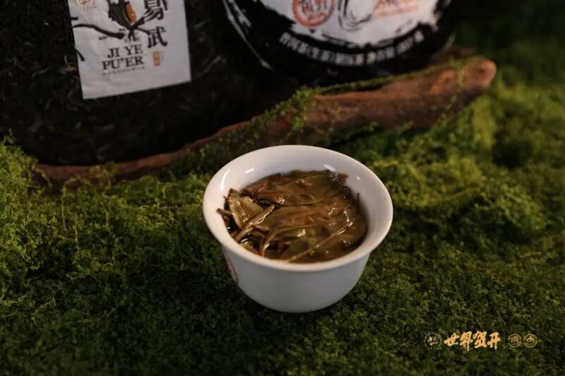 六大茶山极野系列：献给一同征服荒野的英雄!