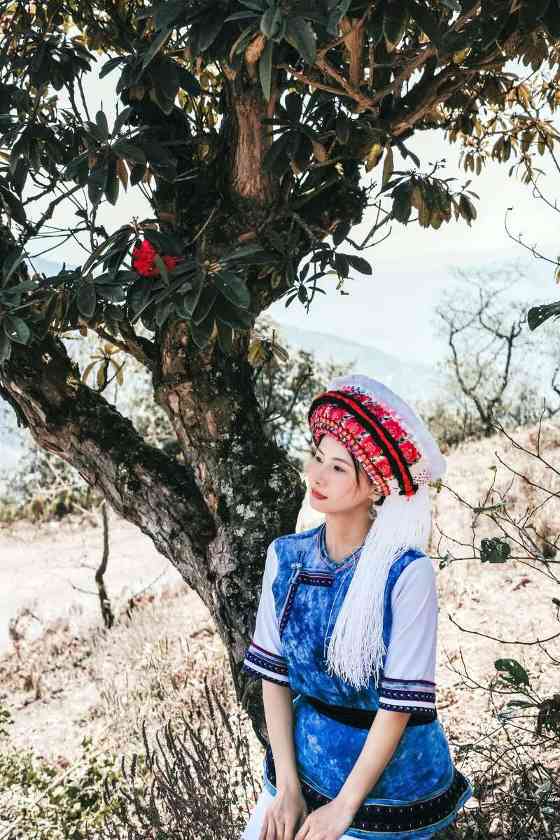 下关2024 金花龙珠礼盒装 