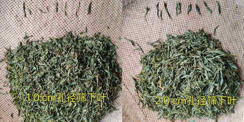 如何增加机采鲜叶加工烘青绿茶的经济效益？