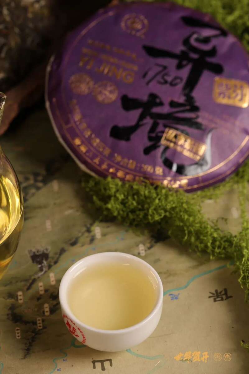六大茶山异境 紫芽：万山难寻的古树茶变异种