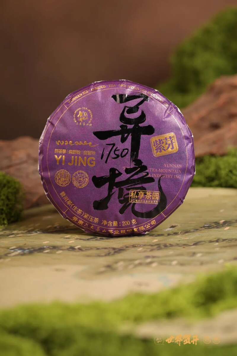 六大茶山异境 紫芽：万山难寻的古树茶变异种