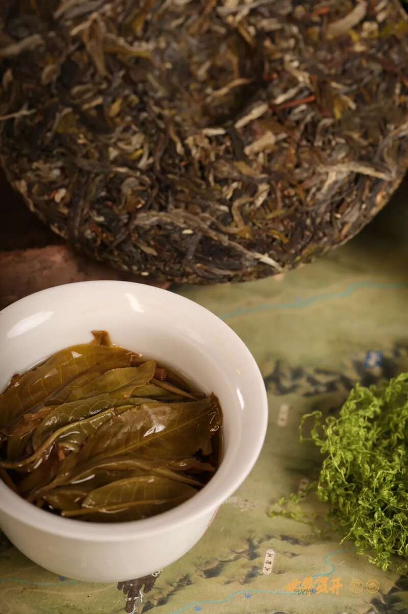 六大茶山异境 紫芽：万山难寻的古树茶变异种