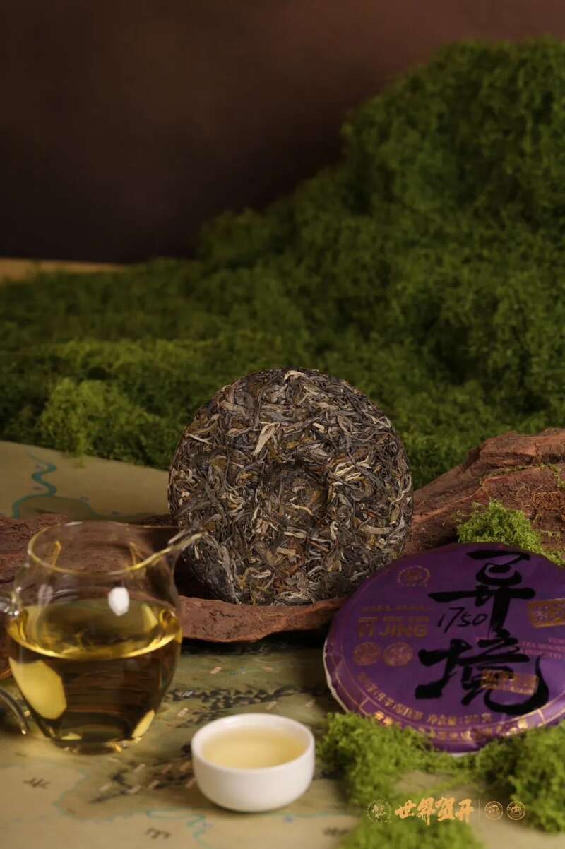 六大茶山异境 紫芽：万山难寻的古树茶变异种