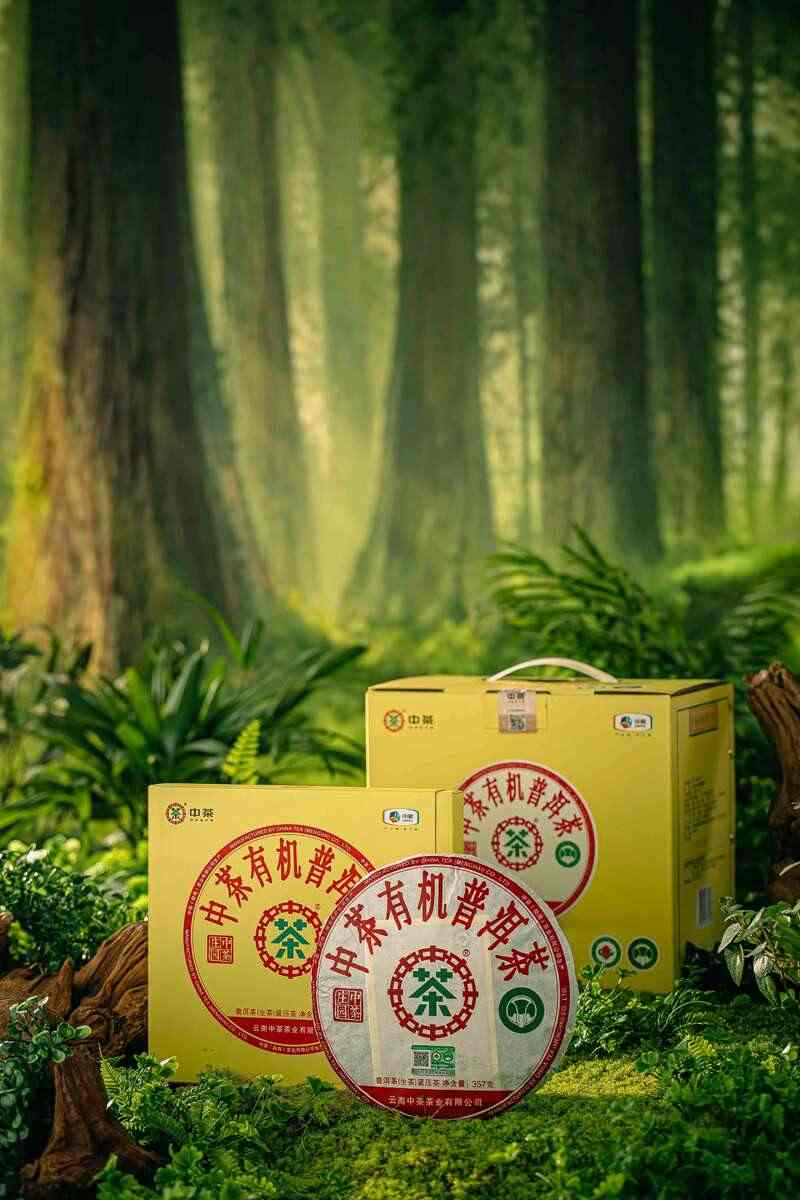 中茶有机普洱茶生茶紧压茶