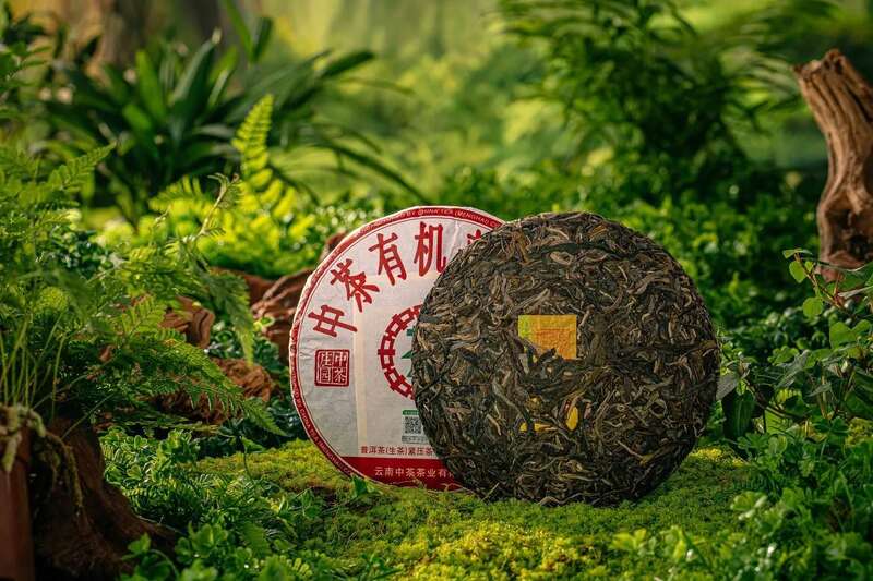 中茶有机普洱茶生茶紧压茶