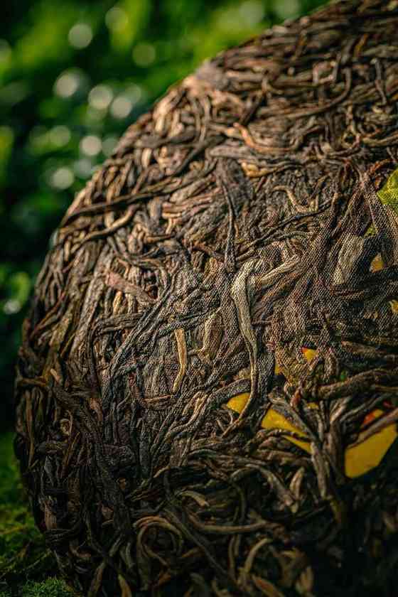 中茶有机普洱茶生茶紧压茶