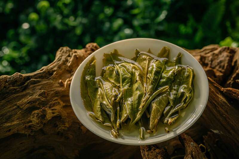 中茶有机普洱茶生茶紧压茶