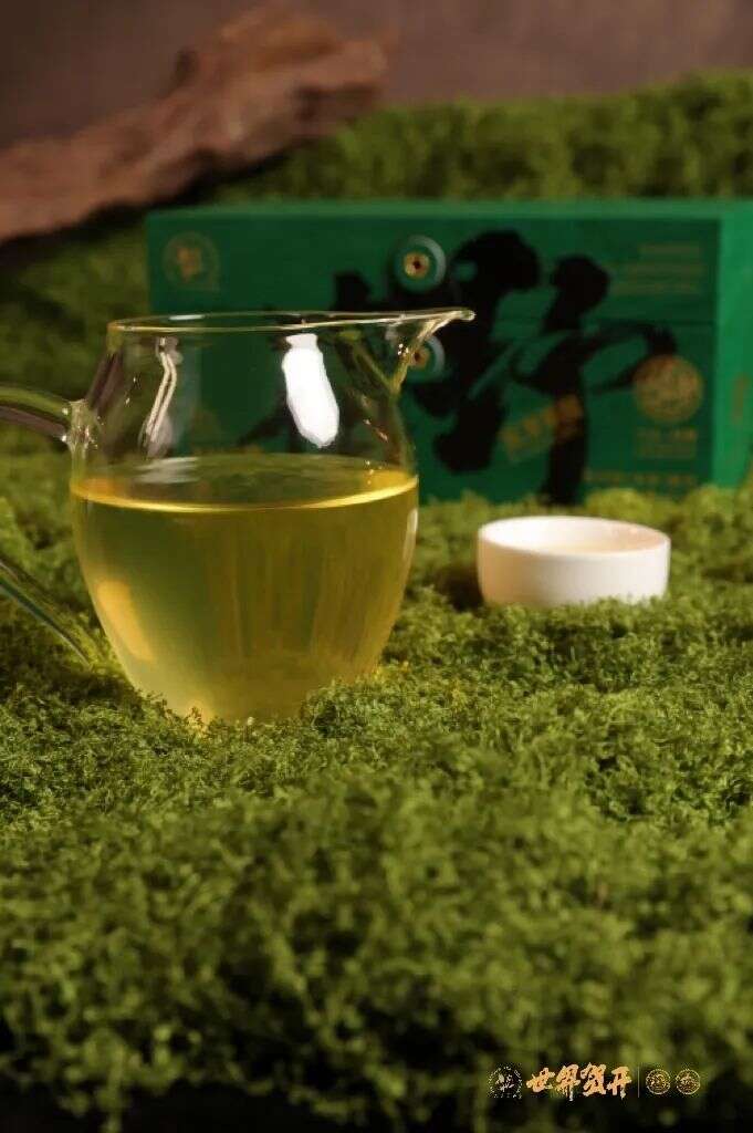 六大茶山在野系列 ：喝遍地图上找不到的狂野！