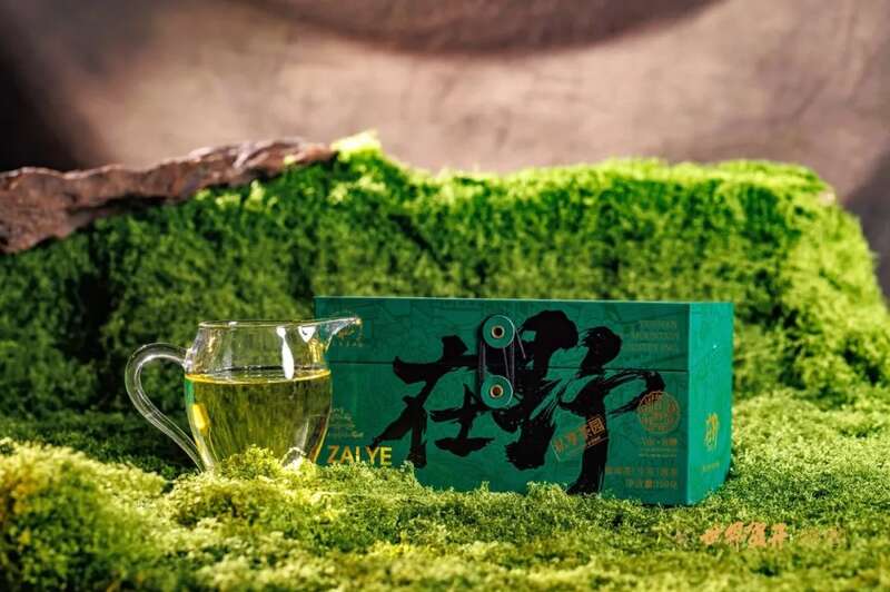 六大茶山在野系列 ：喝遍地图上找不到的狂野！