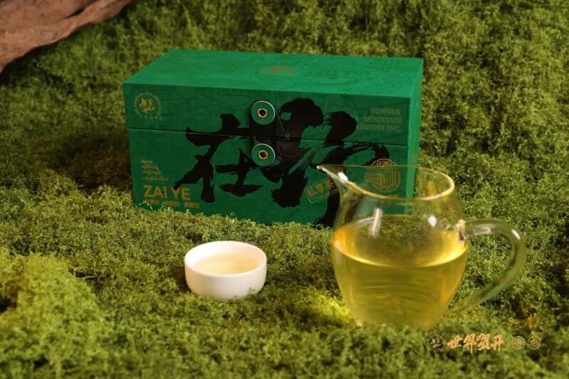 六大茶山在野系列 ：喝遍地图上找不到的狂野！