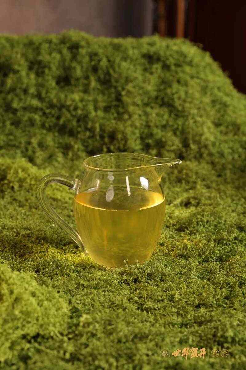 六大茶山在野系列 ：喝遍地图上找不到的狂野！