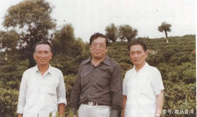 8592紫天熟饼传奇诞生史 香港南天贸易定制经典熟茶