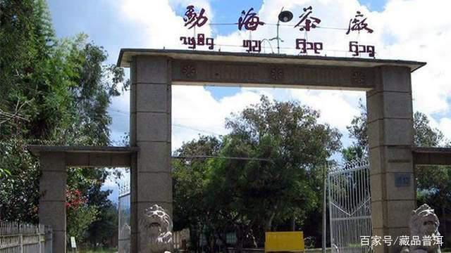 8592紫天熟饼传奇诞生史 香港南天贸易定制经典熟茶