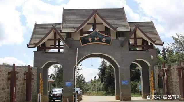 大益与陈升号普洱茶品牌对比分析：拼配技术与古树茶标杆的实力较量