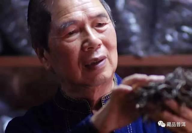 大益商标来历与演变历程深度解析