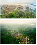 “蒙顶山茶”成功纳入上海浦东新区重点商标保护名录