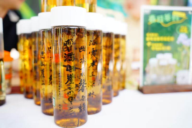 生态福建&nbsp;&nbsp;多彩闽茶：2025年闽茶神州行成都站盛大开幕