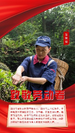 茶马古道上的匠心传承者：记藏茶大师张荣容的三十三年坚守
