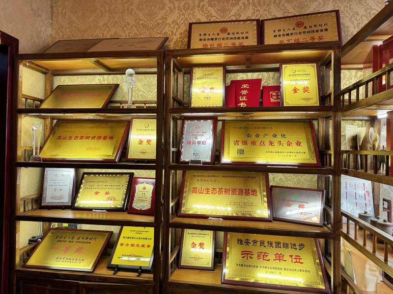 茶马古道上的匠心传承者：记藏茶大师张荣容的三十三年坚守