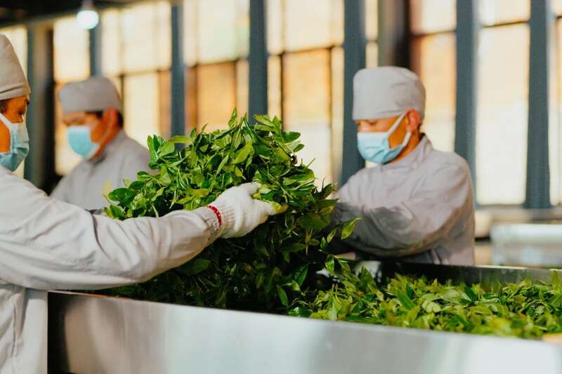 勐海七彩云南®茶厂有限公司质量管理部荣获【云南省工人先锋号】称号