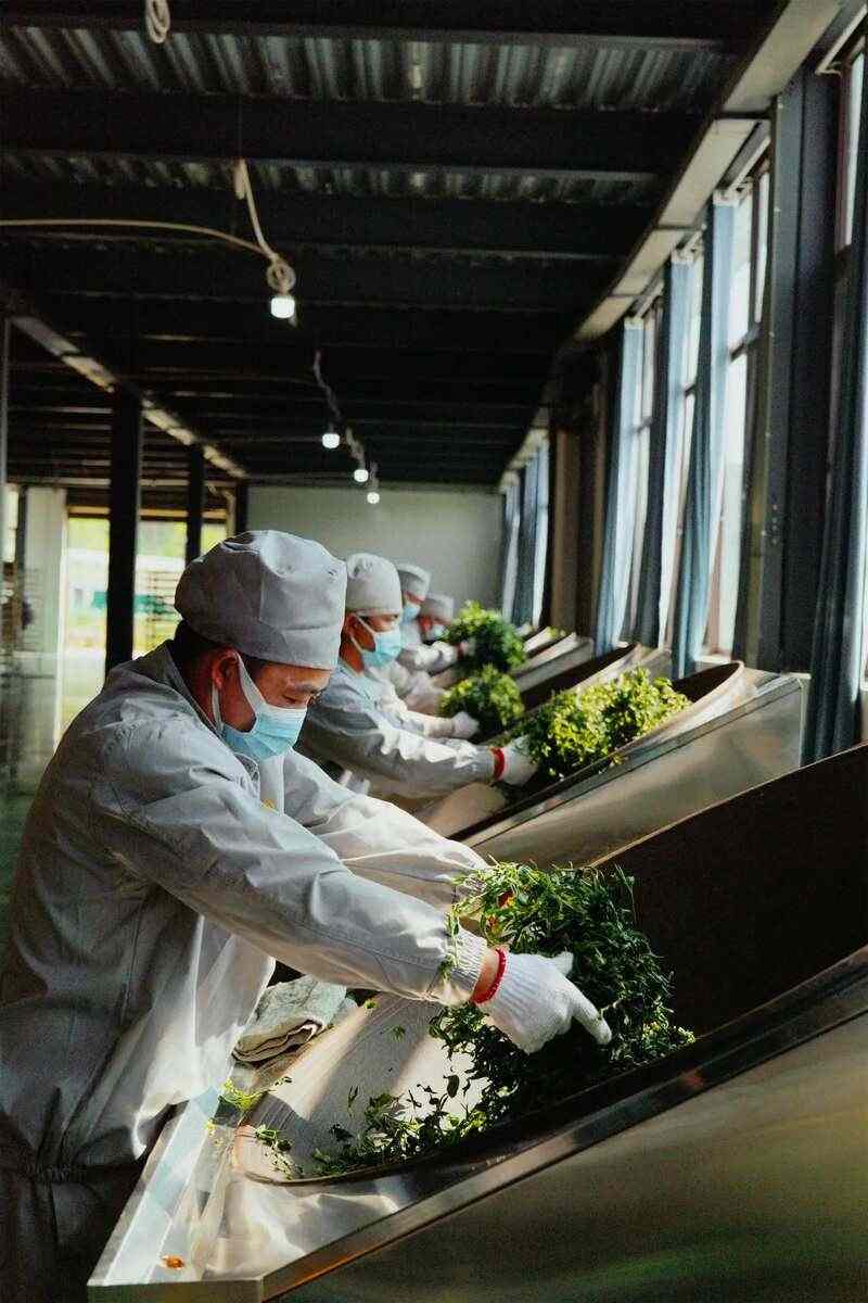 勐海七彩云南®茶厂有限公司质量管理部荣获【云南省工人先锋号】称号