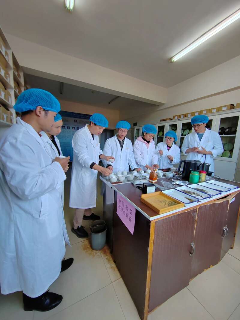 勐海七彩云南®茶厂有限公司质量管理部荣获【云南省工人先锋号】称号