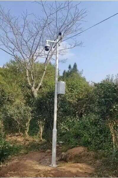 云南大叶种晒青茶风味地域差异研究取得突破——王白娟教授团队联合云南中茶揭示环境对茶叶风味的影响机制